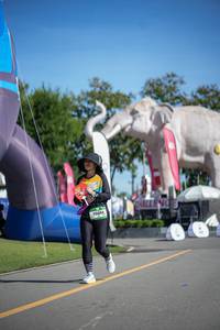 BIB: 
                            <button type="button" onclick="openModal(26543344)" class="btn btn-primary btn-sm float-right btn-popup" data-toggle="modal" data-target=".modal-high-quality">
                        <i class="fas fa-shopping-cart"></i> Add to Cart
                    </button>
                                            <button type="button" onclick="isThisMe(26543344, true)" class="btn btn-success btn-sm float-right btn-popup btn-isme hidden" data-toggle="tooltip" data-placement="bottom" title="นี่คือรูปของคุณใช่ไหม คลิกที่นี่เพื่อเอาเข้าอัลบั้ม">
                        <i class="fas fa-plus"></i> Add to album
                    </button>
                    <button type="button" onclick="isThisMe(26543344, false)" class="btn btn-warning btn-sm float-right btn-popup btn-isnotme hidden">
                        <i class="fas fa-ban"></i> Remove from album
                    </button>